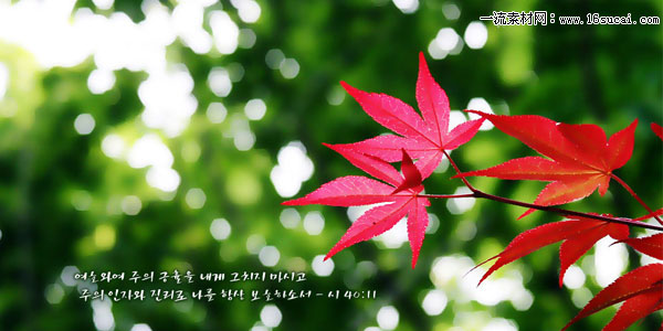 ���Ǳ�����