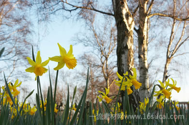 #1 caption goes here