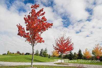 #10 caption goes here