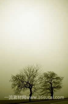 #11 caption goes here