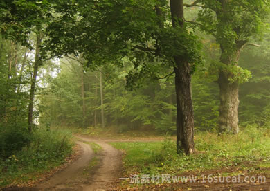 #14 caption goes here