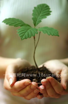 #15 caption goes here