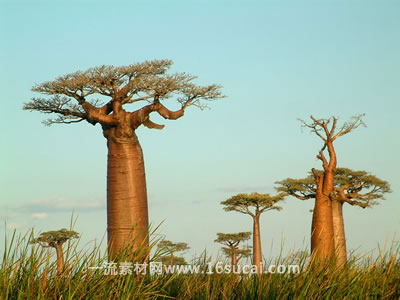 #16 caption goes here