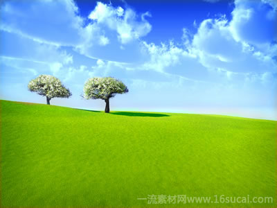 #2 caption goes here