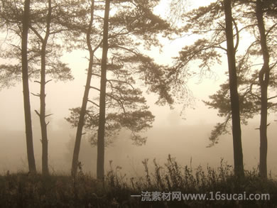 #3 caption goes here