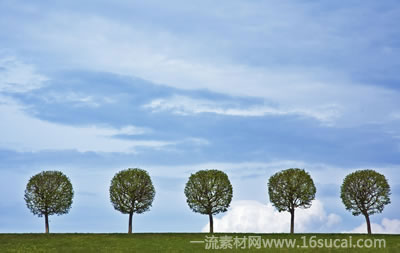 #4 caption goes here