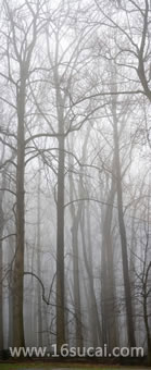 #6 caption goes here