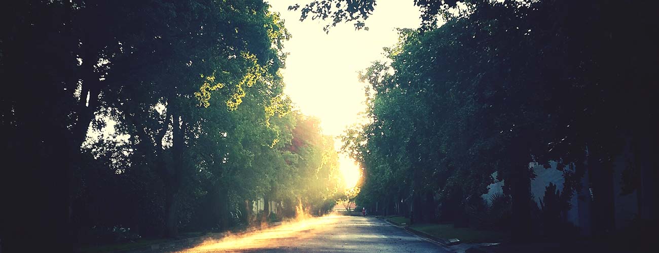 post-image post-image