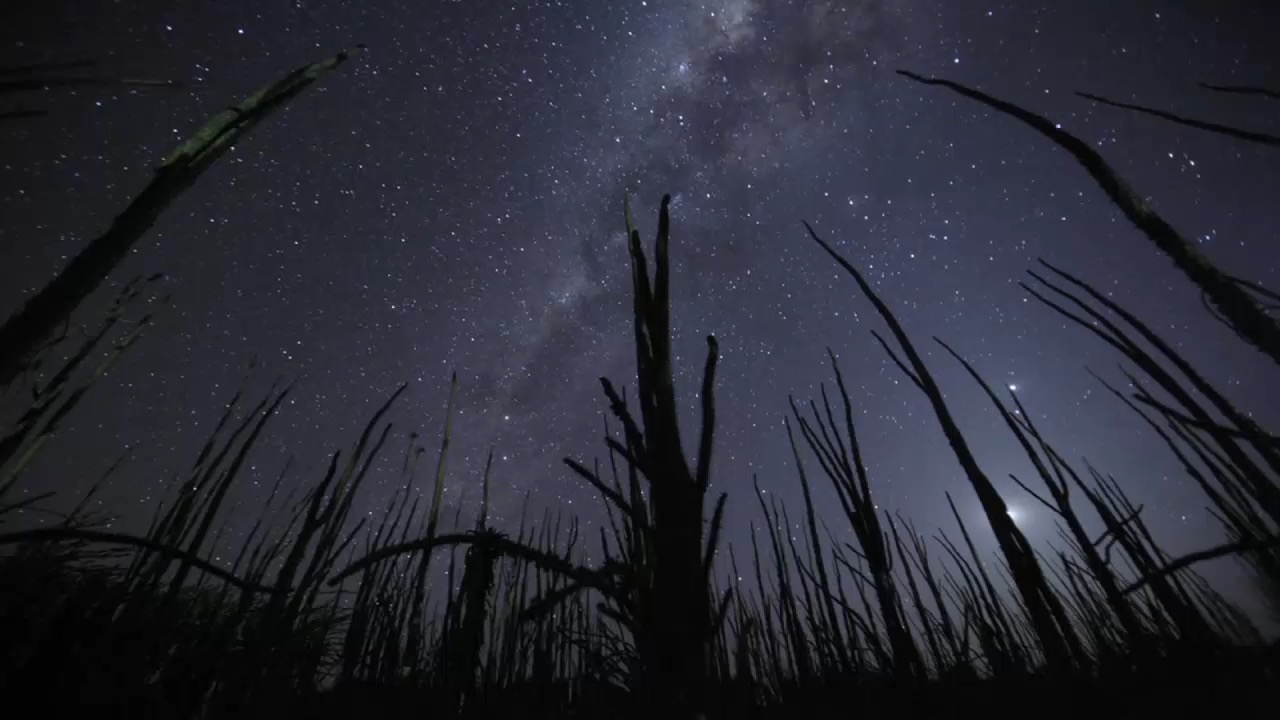 小米平板2 屏蔽按键，防误触