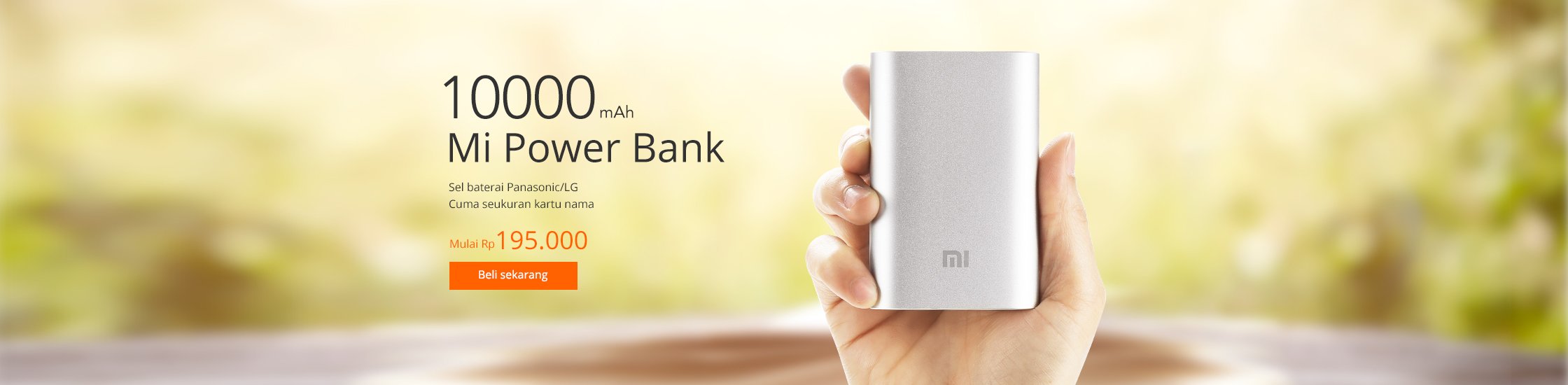 10000 mAh power bank