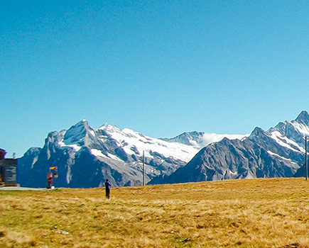 廣角視野（左）