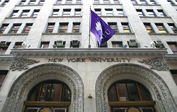 纽约大学