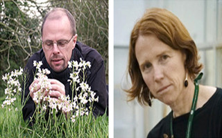 约克大学教授追踪气候变化下的蝴蝶踪迹