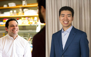 哈佛大学科学家发现糖尿病新疗法