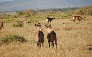 不可思议的研究生课程