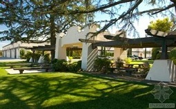 香港葡萄酒业解读