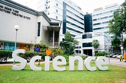 新加坡国立大学在印度废墟中发现新的青蛙物种