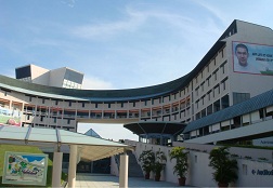 新加坡国立大学科学家发现可以通过机械力引导分泌腔管