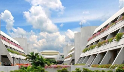 新加坡国立大学研究人员将废纸变为超轻超材料