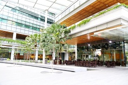 新加坡国立大学的研究表明南洋红树林的砍伐原因