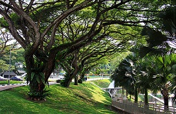 新加坡国立大学研究人员发现杀灭寄生虫的的抗疟药获得诺贝尔奖