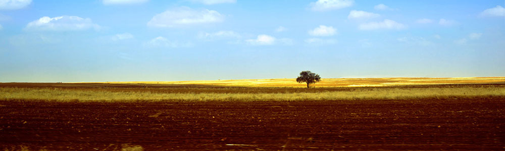 Fatimah的海外生活