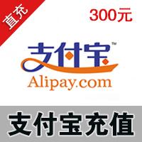 支付宝充值 300元