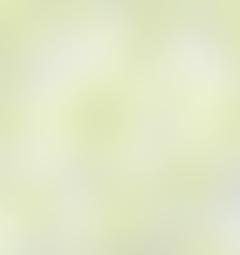 716206-1610027b 沙发布花卉图案