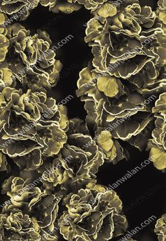 288421-WT258暗夜花卉反色大面积印花花型