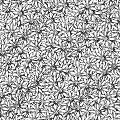 488929-heibaihua副本