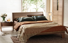 WordPress中文博客主题Truepixel