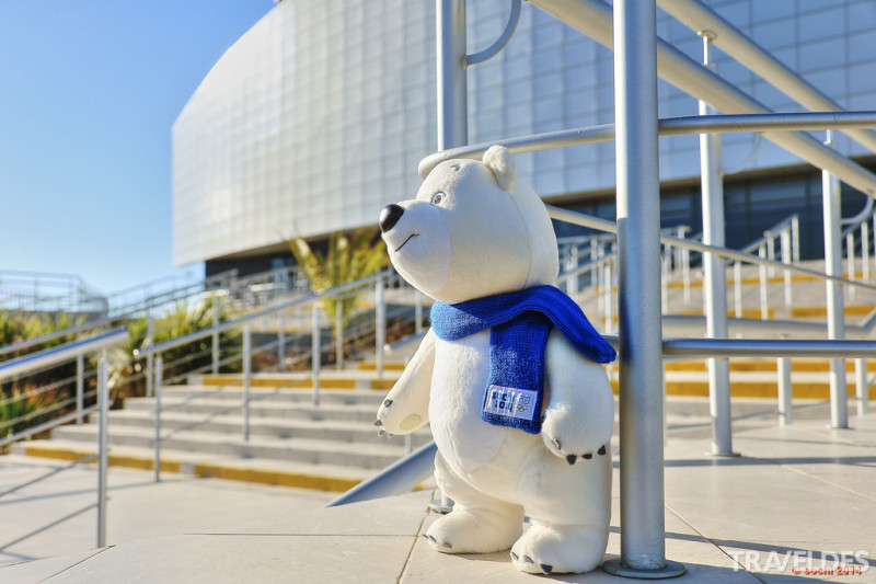 11��С���м���������