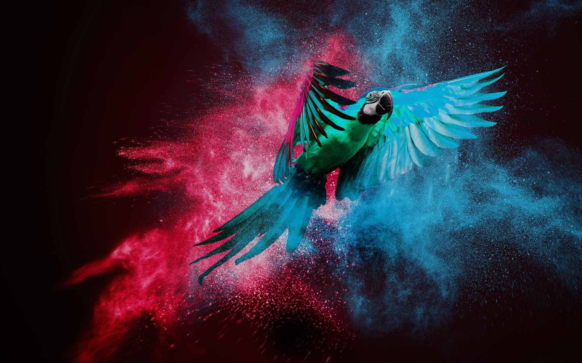 A GlanceIntoThe Future