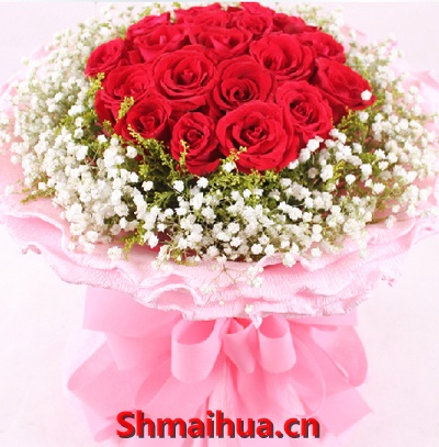 ף��-19���ɫõ��,��ݺ,��������Χ,��ɫ���߰�װֽԲ�ΰ�װ,��������