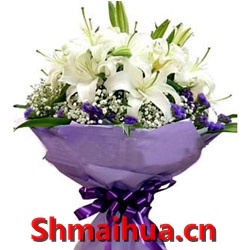 ����ú�-6֧��ͷ��ɫ��ˮ�ٺϣ��������ǣ�������