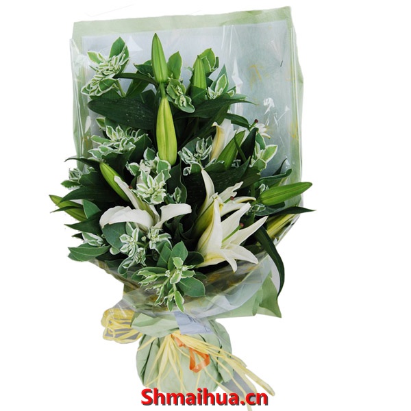 �崿����-3֦��ͷ����ˮ�ٺϣ���ɽ��ѩ,����ֽ�ڰ�װ�������ɫ����ֽ���ΰ�װ����ɫϸ��������