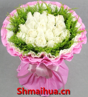 �������-12֦��ɫõ��,��ݺ,��ɫ,��ɫ����ֽ˫���װ,��������������