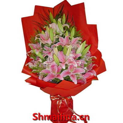 ӯӯף��-6֧�ۺ�ɫ�ٺϣ���ݺ����Ҷ����ɫ����ֽ�����װ����ɫ���˿������