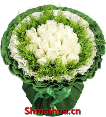 �����ĵ�-19֦��õ�壬��ݺ���䣬��ɫ����ɫ����ֽ˫���װ����������������