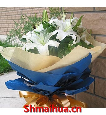 ���տ���-6֦��ͷ��ɫ��ˮ�ٺϣ�������Ҷ ������Ҷ���е���װ