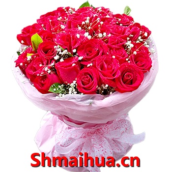 �Ҹ�Լ��-33֧����������õ�壬��׺��������Ҷ����ɫ����ֽԲ�ΰ�װ����Χ��ɫ��ɴ��ͬɫϵ������