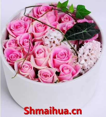 �����ɫ-15֦��ɫõ�� ����ˮ�ɰٺ� ���� �����ǣ���а�װ�������������͵걸����ͬ�������ı䣩