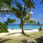 Plants: image 1 0f 4 thumb