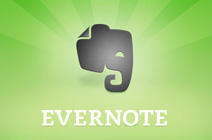 portfolio item image