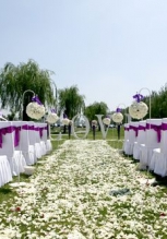 蓝调庄园薰衣草